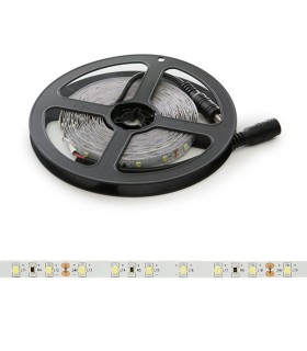 Tira de 5 Metros 300 LEDs 40W SMD2835 24VDC IP25