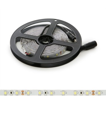 Tira de 5 Metros 300 LEDs 40W SMD2835 24VDC IP25