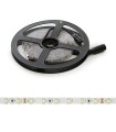 Tira de 5 Metros 300 LEDs 40W SMD2835 24VDC IP25