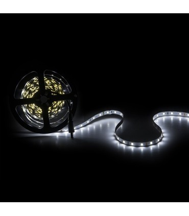 Tira de 5 Metros 300 LEDs 40W SMD2835 24VDC IP25