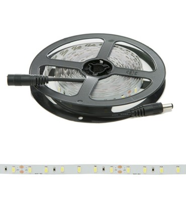Tira de 5 Metros 300 LEDs 40W SMD2835 24VDC IP25