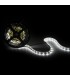 Tira de 5 Metros 300 LEDs 40W SMD2835 24VDC IP25