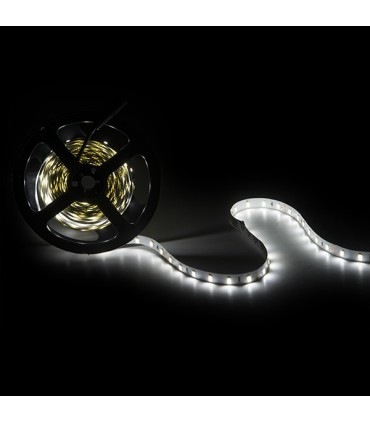 Tira de 5 Metros 300 LEDs 40W SMD2835 24VDC IP25
