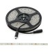 Tira de 5 Metros 300 LEDs 40W SMD2835 24VDC IP65