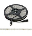 Tira de 5 Metros 300 LEDs 40W SMD2835 24VDC IP65