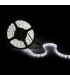 Tira de 5 Metros 300 LEDs 40W SMD2835 24VDC IP65