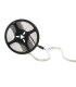 Tira de 5 Metros 300 LEDs 40W SMD2835 24VDC IP65