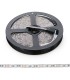 Tira de 300 LEDs SMD 5050 5M RGB IP33 Interior