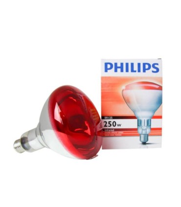 R-125 250W-230V E27 ROJO INFRA.