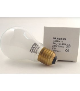 PF607 250W 230V E-27