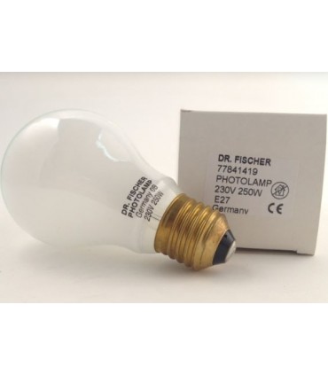 PF607 250W 230V E-27