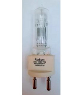 RADIUM RH 1003 Y 230V 100W G22