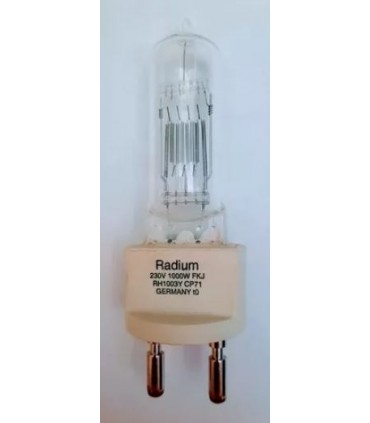 RADIUM RH 1003 Y 230V 100W G22