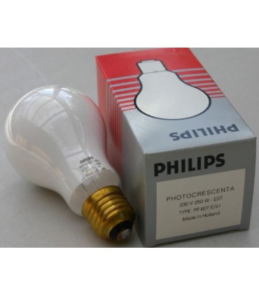 PF607E51  250W 230V E-27