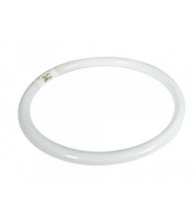TUBO FLUOR.40W-840 CIRCULAR
