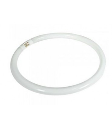 TUBO FLUOR.40W-840 CIRCULAR