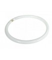 TUBO FLUOR.40W-840 CIRCULAR