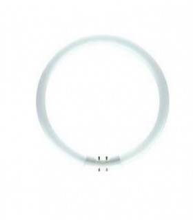 TUBO FLUOR.T5 40W-865  CIRCULAR