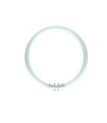 TUBO FLUOR.T5 40W-865  CIRCULAR
