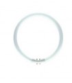TUBO FLUOR.T5 40W-865  CIRCULAR