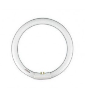 TUBO FLUOR.40W-6500 CIRCULAR