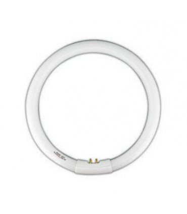 TUBO FLUOR.40W-6500 CIRCULAR