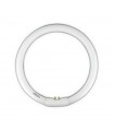 TUBO FLUOR.40W-6500 CIRCULAR