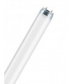 TUBO FLUOR. 58W-950  -- GRAFICA --
