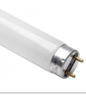 TUBO FLUOR. 25W-865-28"   --875--