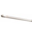 TUBO T5 32W /840 ECOLINE - 0002909-