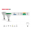 PAR 38 LED 13W VERDE E-27