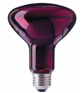 INFRARROJO 100w R-95 M/M