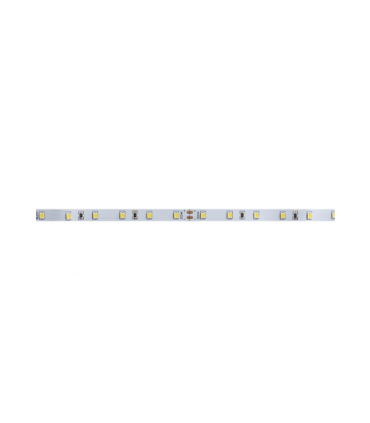 Tira led 3528/60 pcs/m 5 metros 24v 4,8w IP20 BLUE 8mm